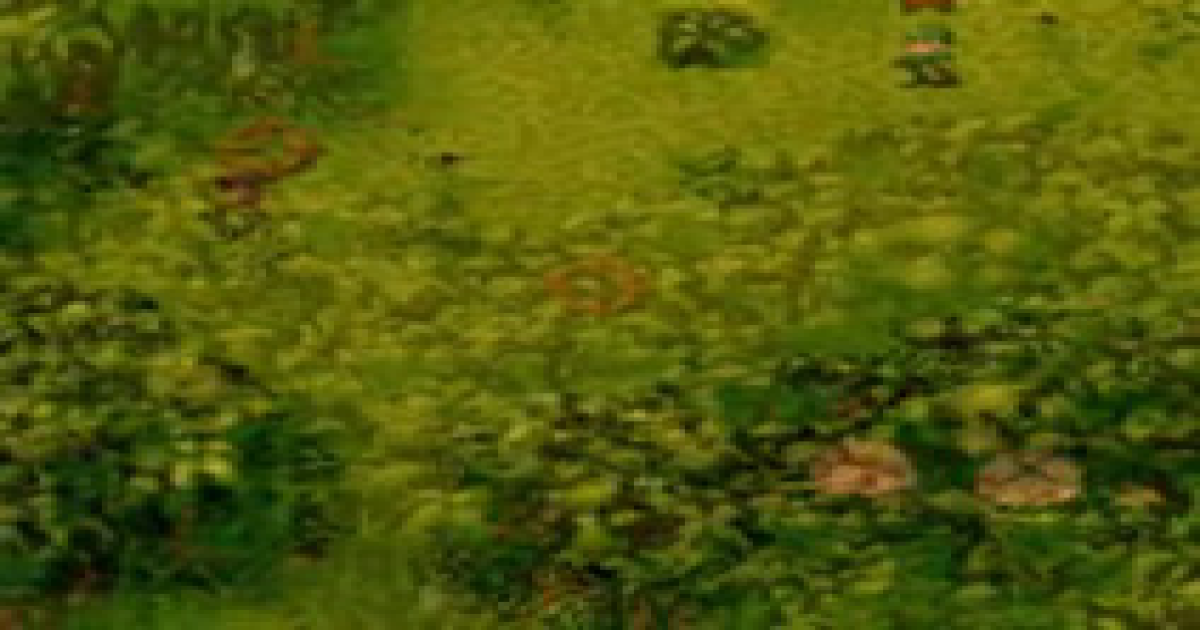 Cannon Fodder GameBoy Color Online Emulators