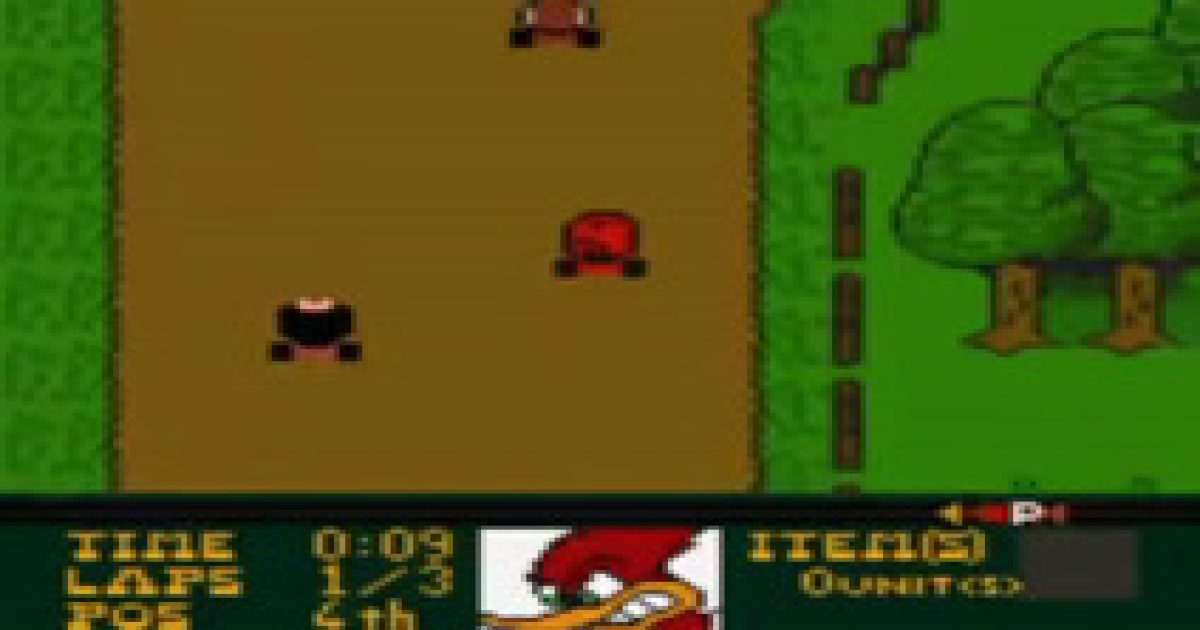 Play Woody Woodpecker Racing for GameBoy Color