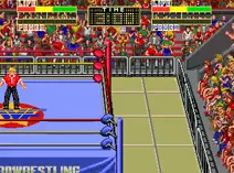 Screenshot of Champion Wrestler (World)