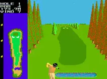 Screenshot of Competition Golf Final Round (Japan)