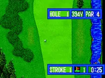 Screenshot of Top Player's Golf
