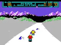 Screenshot of Vs. Slalom