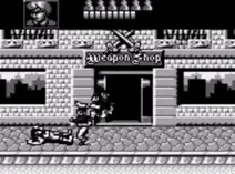 Screenshot of Double Dragon 3 - The Arcade Game