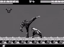 Screenshot of Mortal Kombat 3
