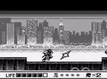 Screenshot of Ninja Gaiden Shadow