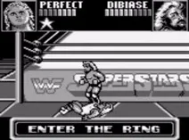 Screenshot of WWF Superstars