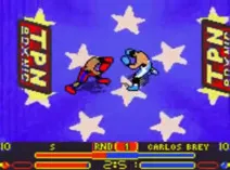 Screenshot of Prince Naseem Boxing