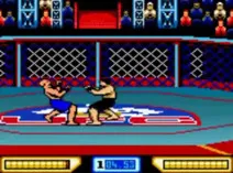 Screenshot of Ultimate Fighting Championship