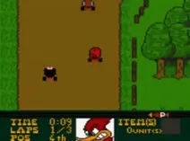 Screenshot of Woody Woodpecker Racing