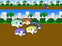 Screenshot of Hamster Monogatari 64 (Japan)