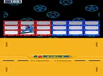 Screenshot of Mega Man Battle Network 5 - Double Team DS (USA)