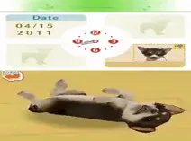 Screenshot of Nintendogs - Chihuahua & Friends (USA)