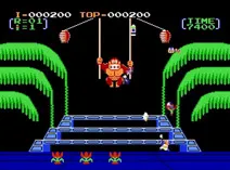 Screenshot of Donkey Kong 3 (W)