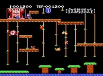 Screenshot of Donkey Kong Jr. (JU)