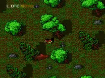 Screenshot of Legend of Robin Hood, The (U) (Prototype)
