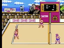 Screenshot of Super Spike V'Ball + Nintendo World Cup (U)