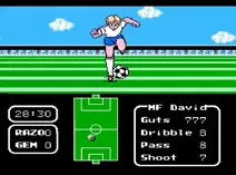 Screenshot of Tecmo Cup - Football Game (U)