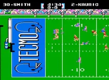 Screenshot of Tecmo Super Bowl (U)