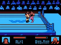 Screenshot of WWF King of the Ring (E)