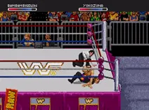 Screenshot of WWF Raw