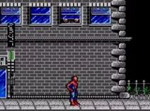 Screenshot of Spider-Man (USA, Europe)