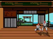 Screenshot of Budokan - The Martial Spirit (Europe)