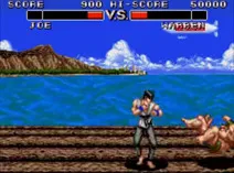 Screenshot of Deadly Moves (USA)