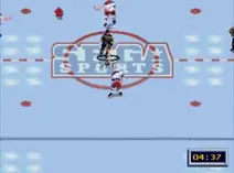 Screenshot of NHL All-Star Hockey '95 (USA)