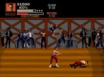 Screenshot of Pit-Fighter (World) (October 1991)