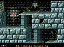 Screenshot of Prince of Persia (Europe) (Beta)
