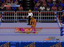 Screenshot of WWF Royal Rumble (World)