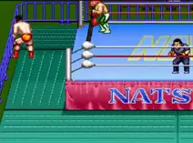 Screenshot of Natsume Championship Wrestling (USA)