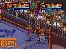 Screenshot of WCW Super Brawl Wrestling (USA)
